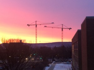 cranes_state-college